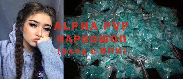 сатива Губаха