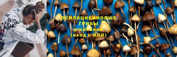 меф Надым
