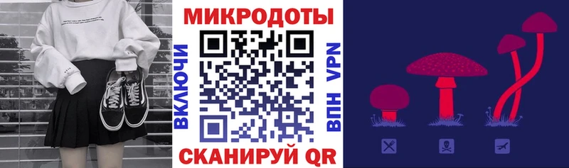 Псилоцибиновые грибы Psilocybine cubensis  Добрянка 