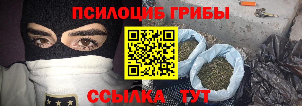 Добрянка  Галлюциногенные грибы Psilocybe  Вход с VPN 